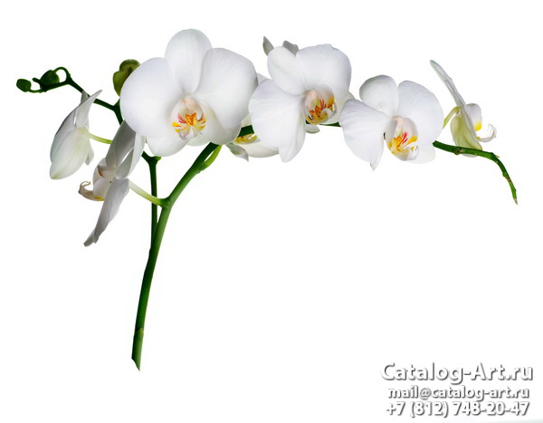 картинки для фотопечати на потолках, идеи, фото, образцы - Потолки с фотопечатью - Белые орхидеи 35
